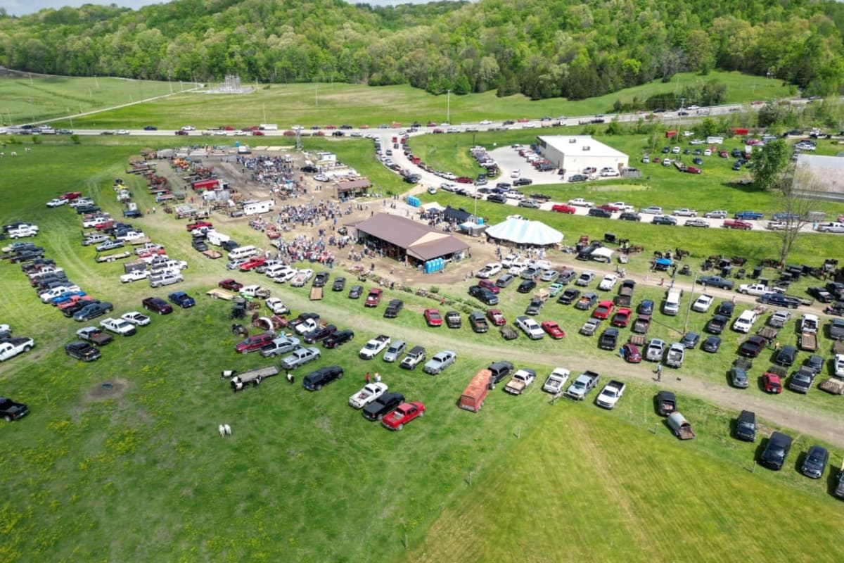 Casey County Consignment Auctions