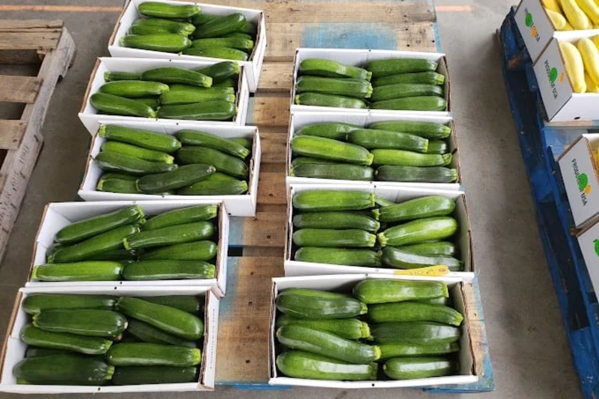 Casey County Produce Auction