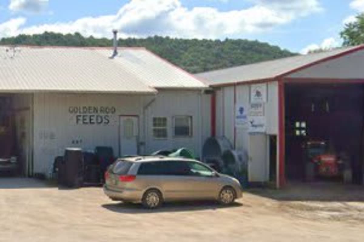 Goldenrod Feeds