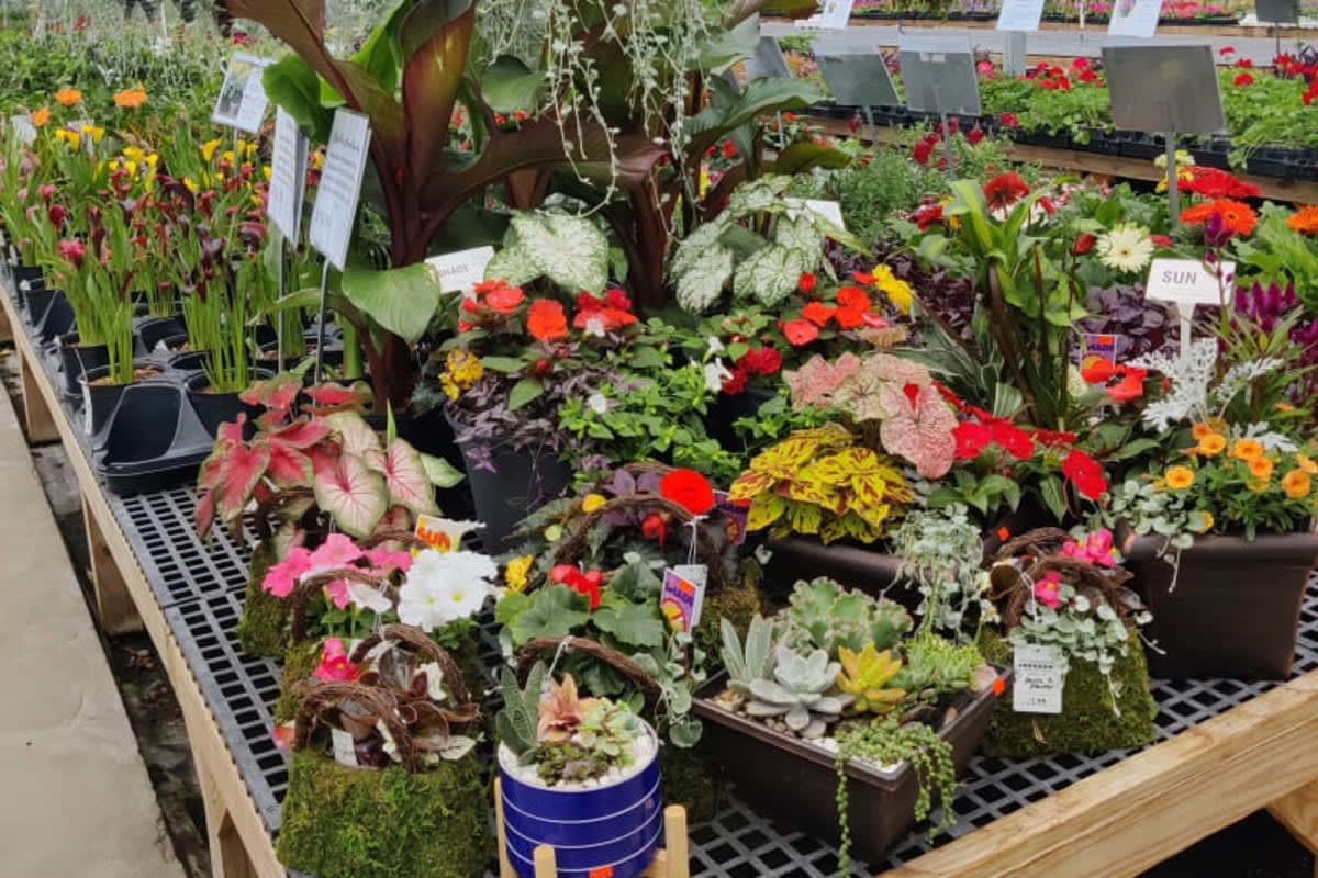 Homestead Gardens