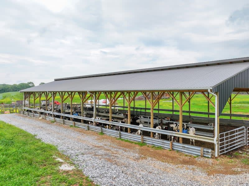 Liberty Building Supply thumbnail 6