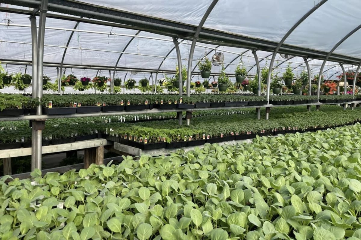 Ridgetop Greenhouses